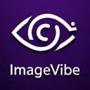 ImageVibe：将图像转换为AI绘图提示的工具，支持多模型优化