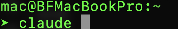 use claude code