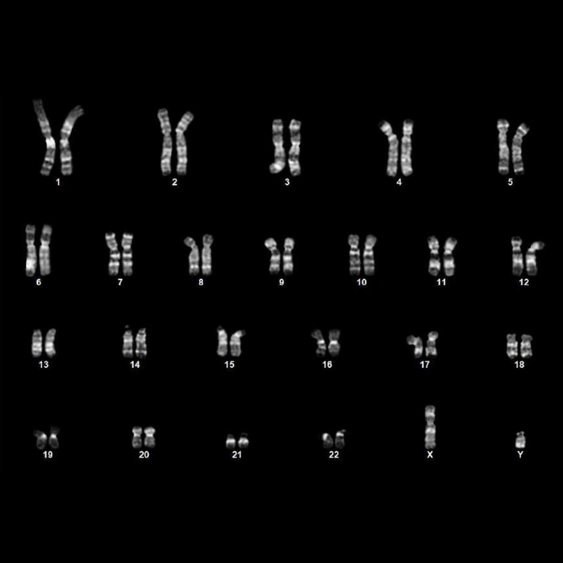 AI 加速生命科学：OpenAI 与 Retro Biosciences 联手革新细胞重编程技术-4